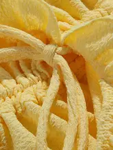 女性用ビキニ水着【スカートスタイル・上品なデザイン・二分割】（セットアップ対応）