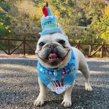 犬用 誕生日 お祝い パーティーハット スタイ ペット アクセサリー フレンチブルドッグ