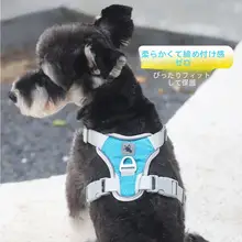 ハーネス式ペット用リード【中小型犬用・Bichon Frise向け・快適なデザイン】