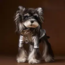 秋冬用犬用ジャケット【レザー風・シュナウザー・テディベア・ダックスフント・ヨークシャーテリア・マルチーズ・ビション・ポメラニアン対応】