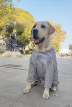 冬用 大型犬用 コットン生地 厚手ハイネックコート【お腹と膝の保護付き・チェック柄】
