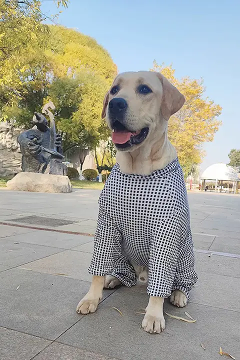 冬用 大型犬用 コットン生地 厚手ハイネックコート【お腹と膝の保護付き・チェック柄】