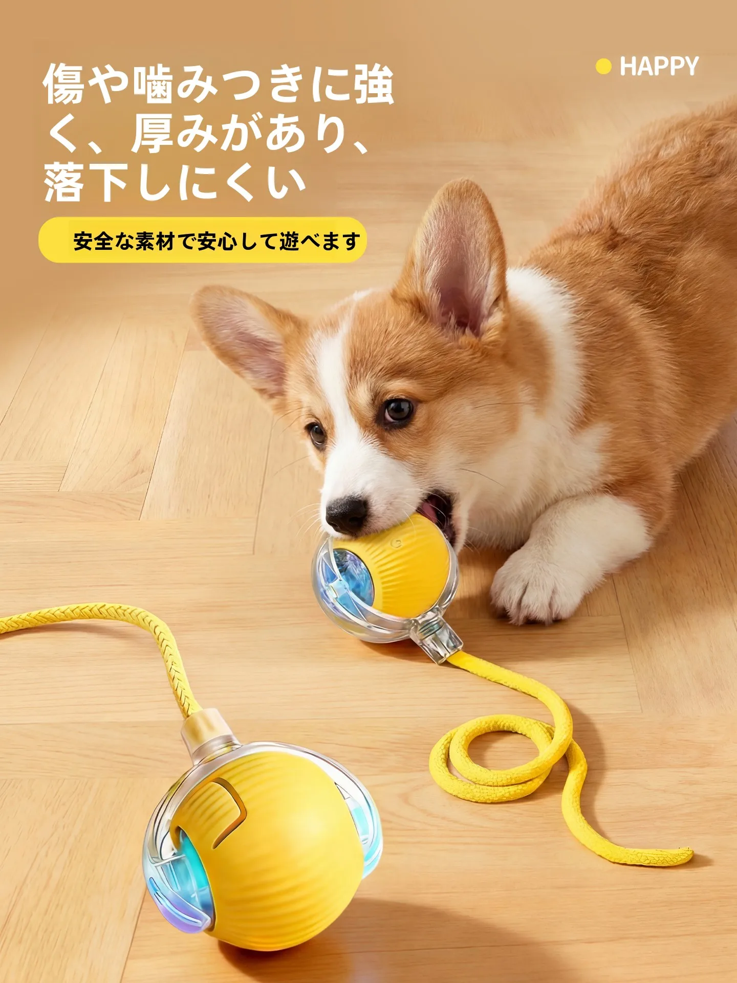 ペットの遊び時間がもはや「技術の進化」なのか？最新のペット用おもちゃに隠された、本当の温かさとは？
