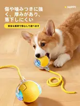 耐久性のあるペット用おもちゃボール【噛みごたえ・猫用電動おもちゃ】