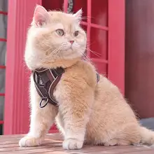 調整可能な猫用ハーネス【脱走防止・外出用・リード付き】