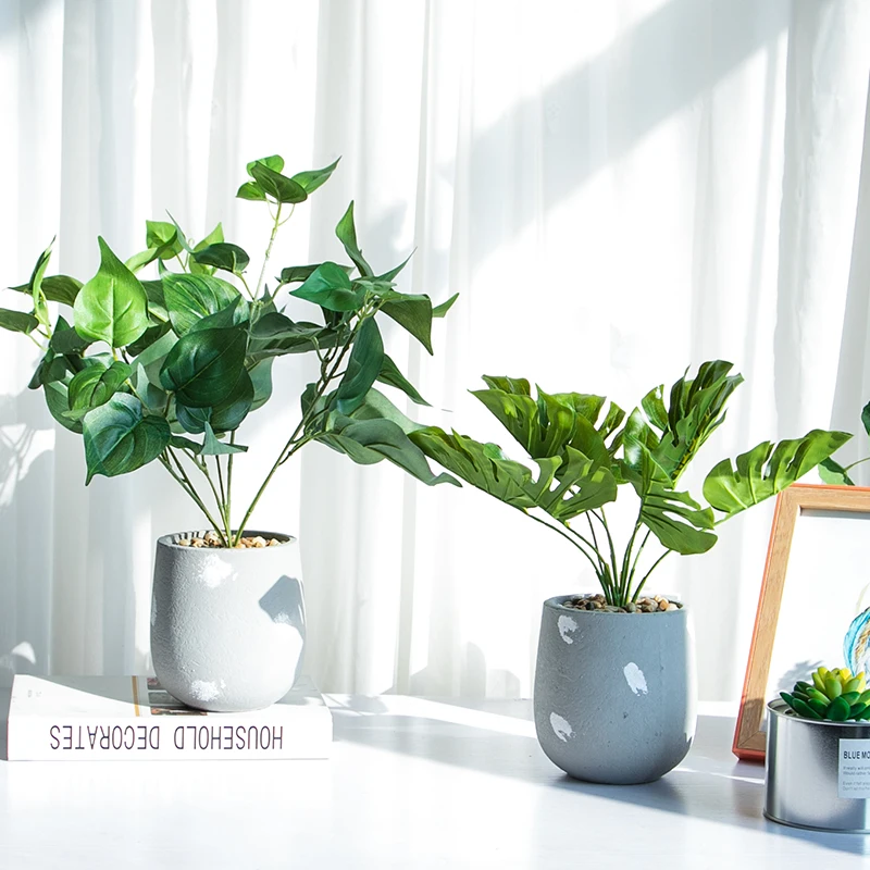 揃えるミニマリスト部屋づくりアイテム | 手入れが簡単な植物とソファブランケットの選び方徹底解説