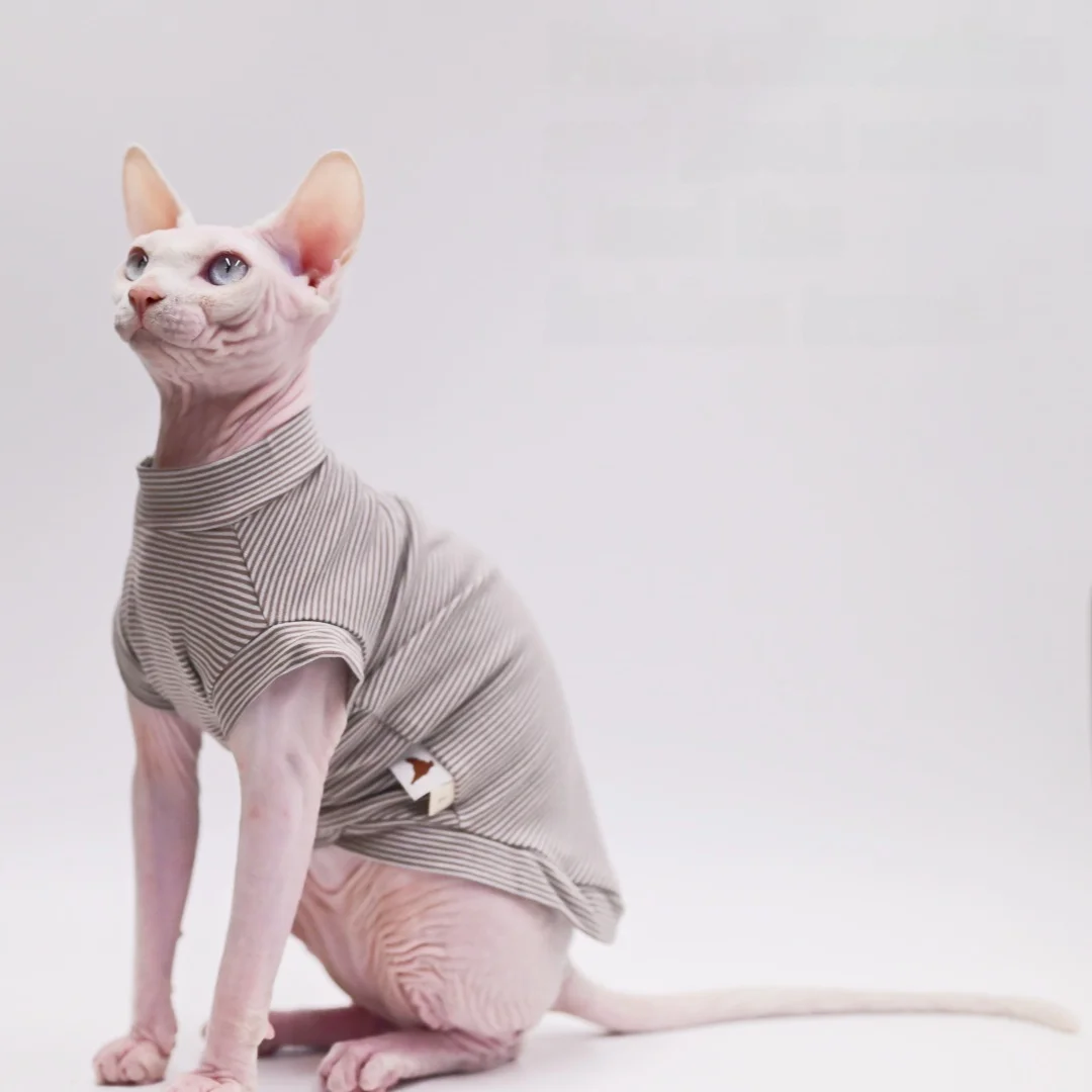 猫飼いが買ってよかったもの・悪かったもの正直に言う | コットン製無毛猫用クールウェアの通気性とサイズ対応