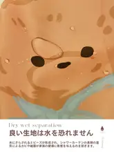 高級防水浴室カーテン【穴あけ不要・防カビ仕様・バスルーム用】（セットアップ対応）