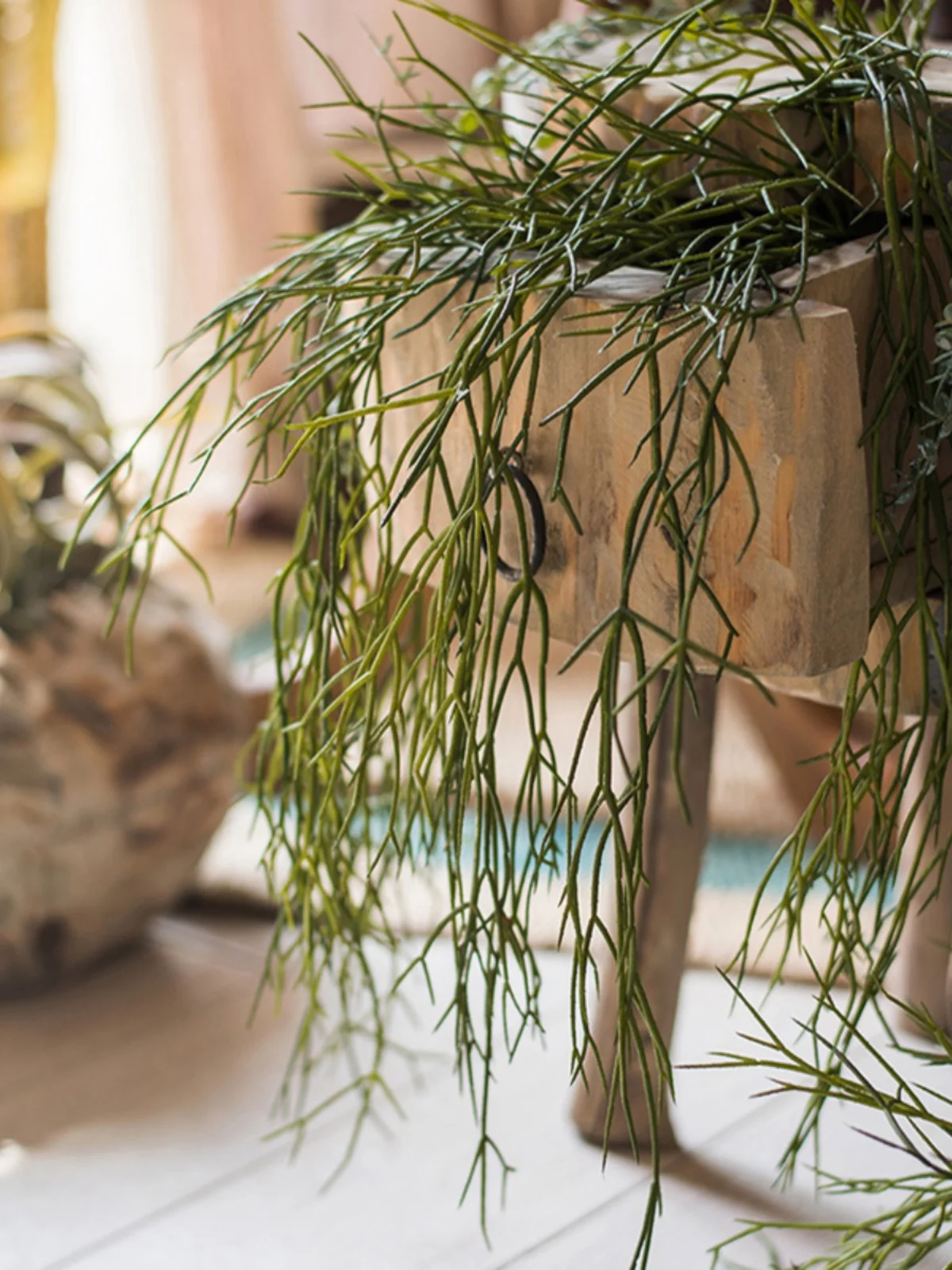 世話が苦手な人でも育てやすい観葉植物は、これだ！