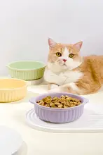 両耳陶器猫用ボウル ペット用 食品グレードの陶器 洗いやすい