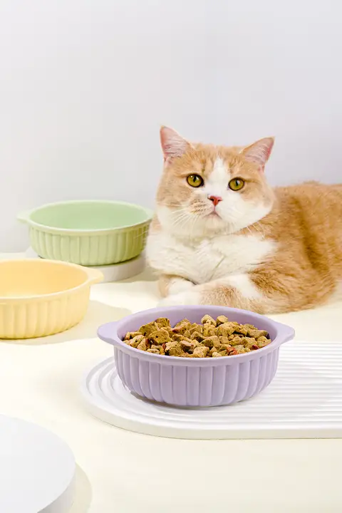 両耳陶器猫用ボウル ペット用 食品グレードの陶器 洗いやすい