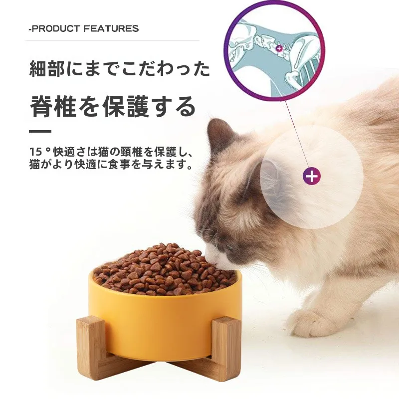 猫を飼う前に買っておくべきフードボウルは？黒色の陶器製が本当におすすめな理由