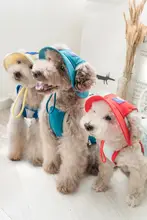 小型犬用 耳出し帽子＆防晒ベスト【涼感・アウトドア用】