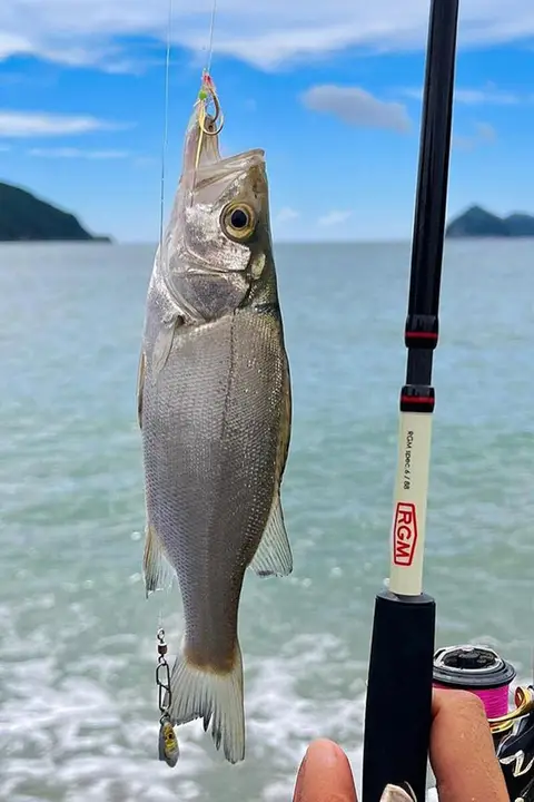 炭素製ルアーロッド【海釣り・イカ釣り・遠投対応】