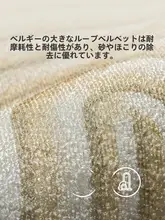 タマイズ可能な高級玄関マット【防滑・家庭用・脚元用】