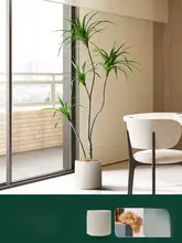 フェイクプランツ ドラゴンブラッドツリー 大型装飾品 インテリア装飾に適した グリーン植物 独特なスタイル