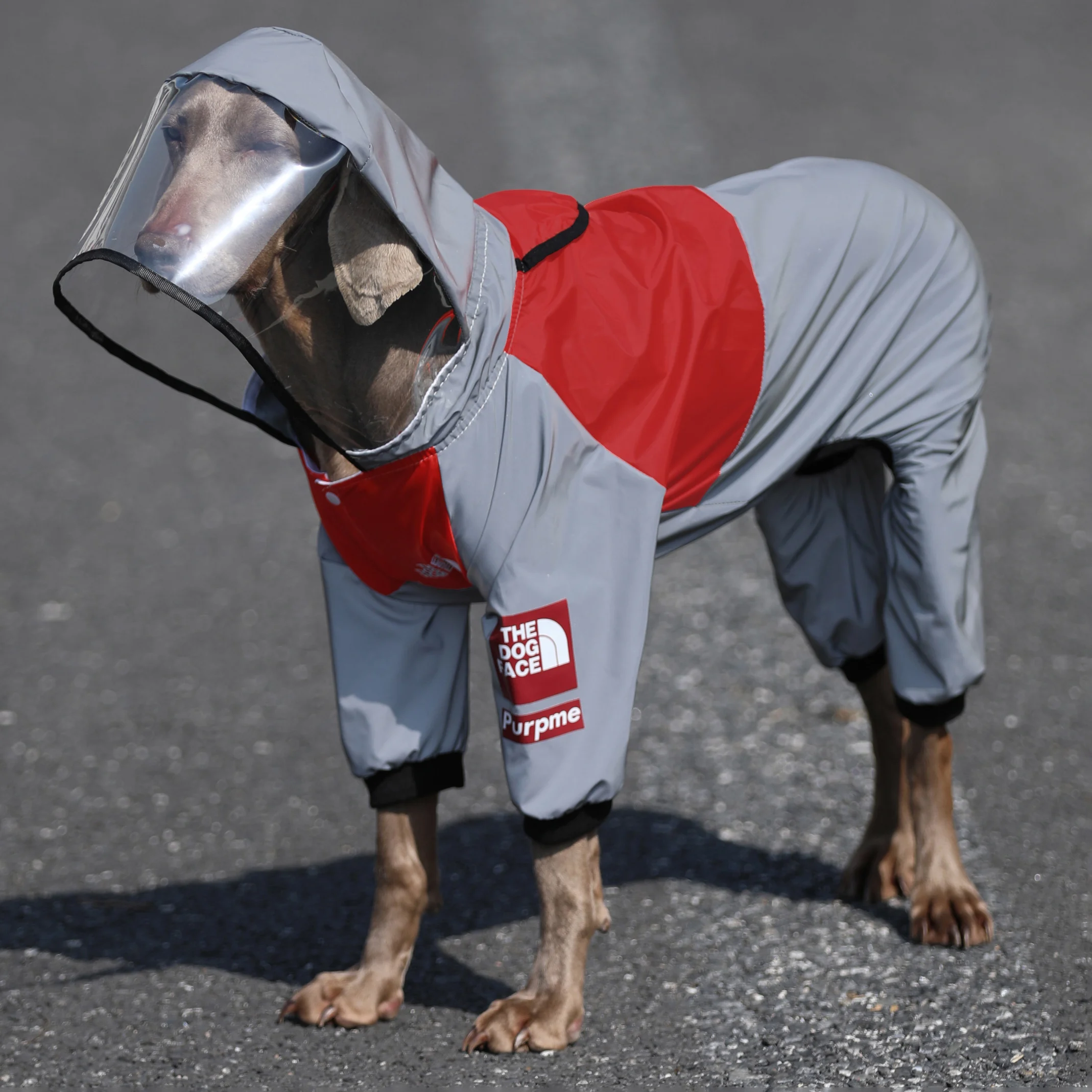 大型犬用防水レインコート：ラブラドール・ゴールデン・ボーダーコリー対応の四足タイプが実用性をどう評価するか