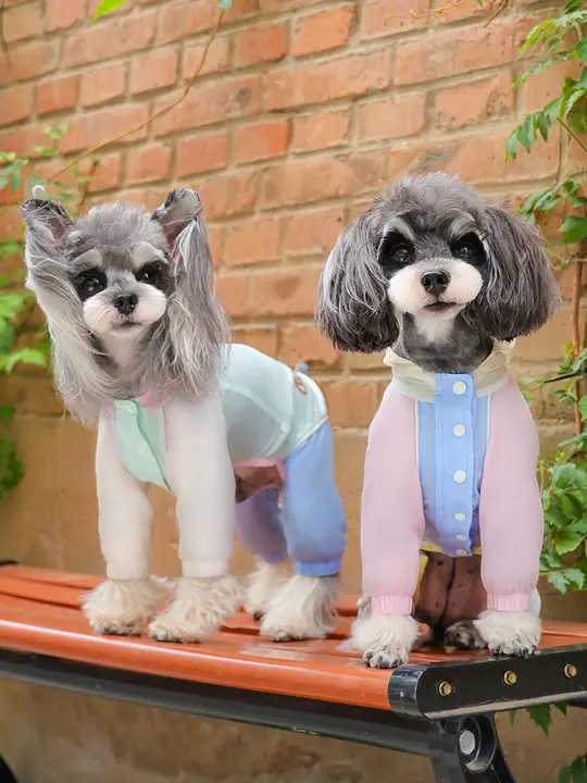 犬用 防水防汚 脚付き衣服【軽量・テディベアスタイル・夏用】