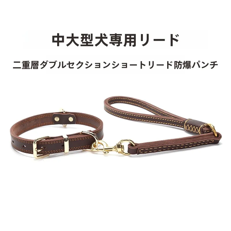 犬のお散歩グッズをコスパ良く揃える方法　リード選びの実測ガイド