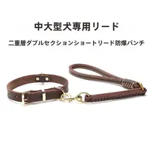 ペット用リード【調節可能・中大型犬用・耐久性抜群】