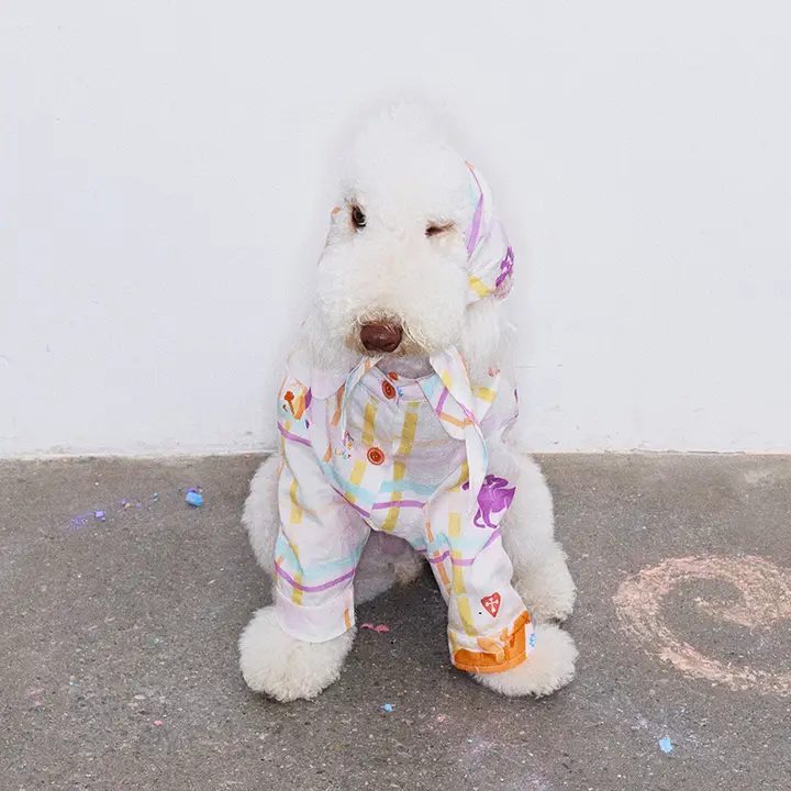 オリジナルプリント小犬用パジャマ【春夏用・二足タイプ・ペット用】