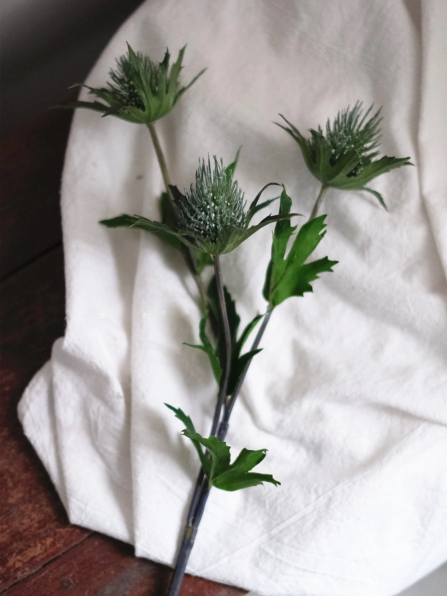リアルなディル風花束で空間を彩るには？人工観葉植物の選び方を徹底解説
