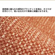 モダンシンプル防滑玄関マット【高級デザイン・日焼け跡付き・家用】