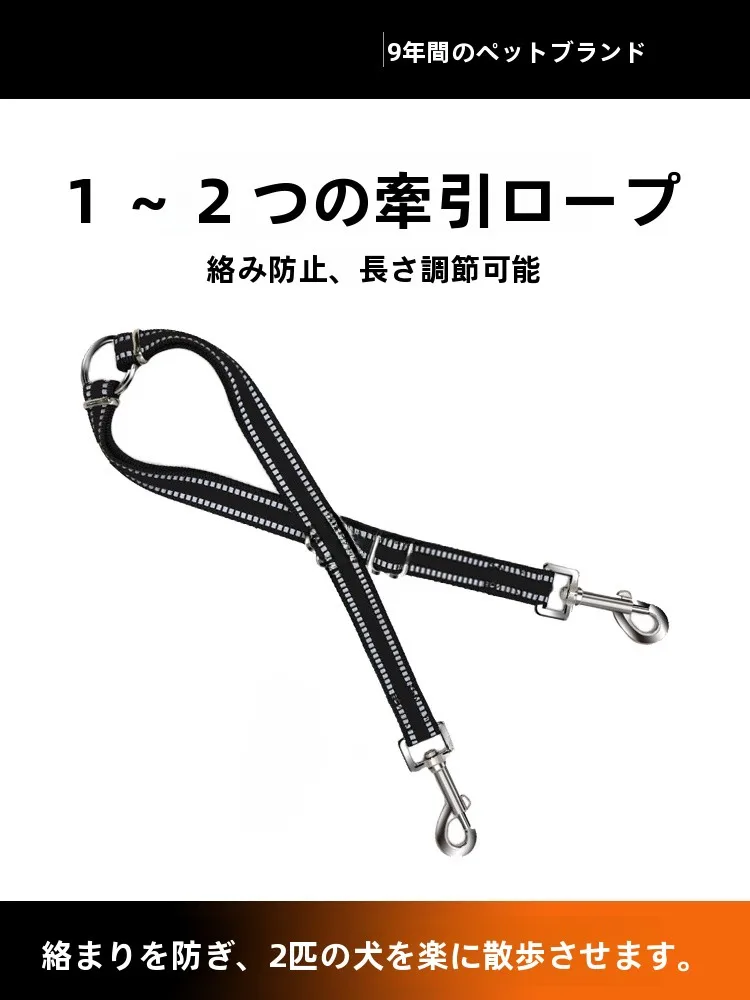 梅雨に備えて買うべき！｜小型犬の安全散歩に最適な二頭引きリードの徹底解説