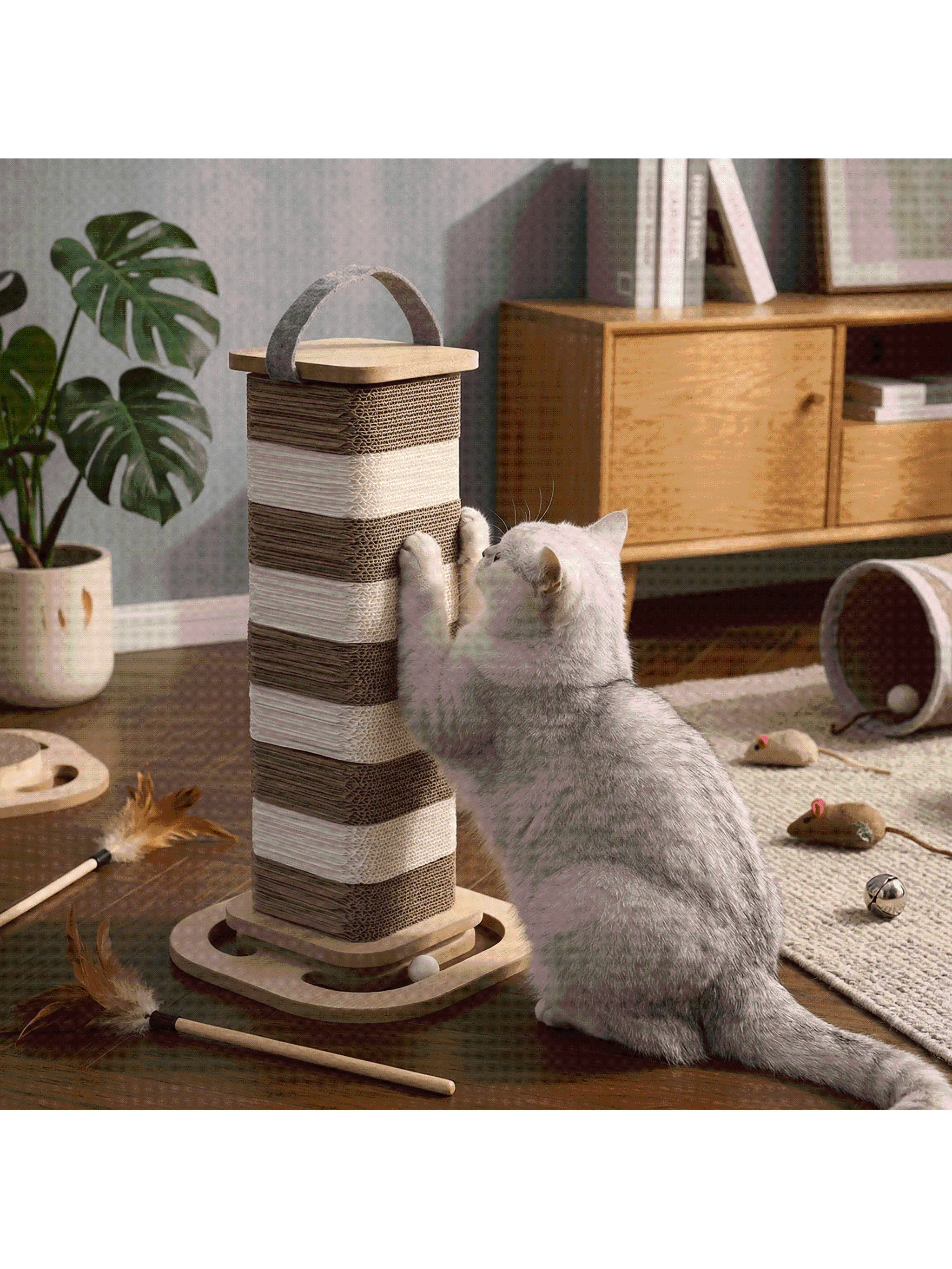 猫の防災グッズで心を落ち着かせるには？段ボールキャットタワーの本当の価値とは