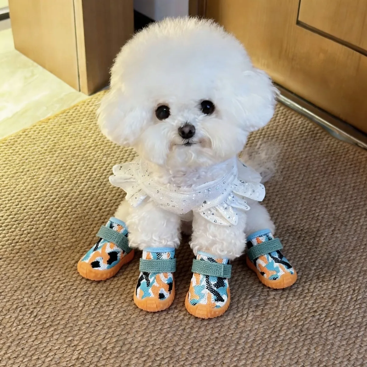 犬用靴 おすすめ 5選：どんなものがあるか？どうやって選ぶか？
