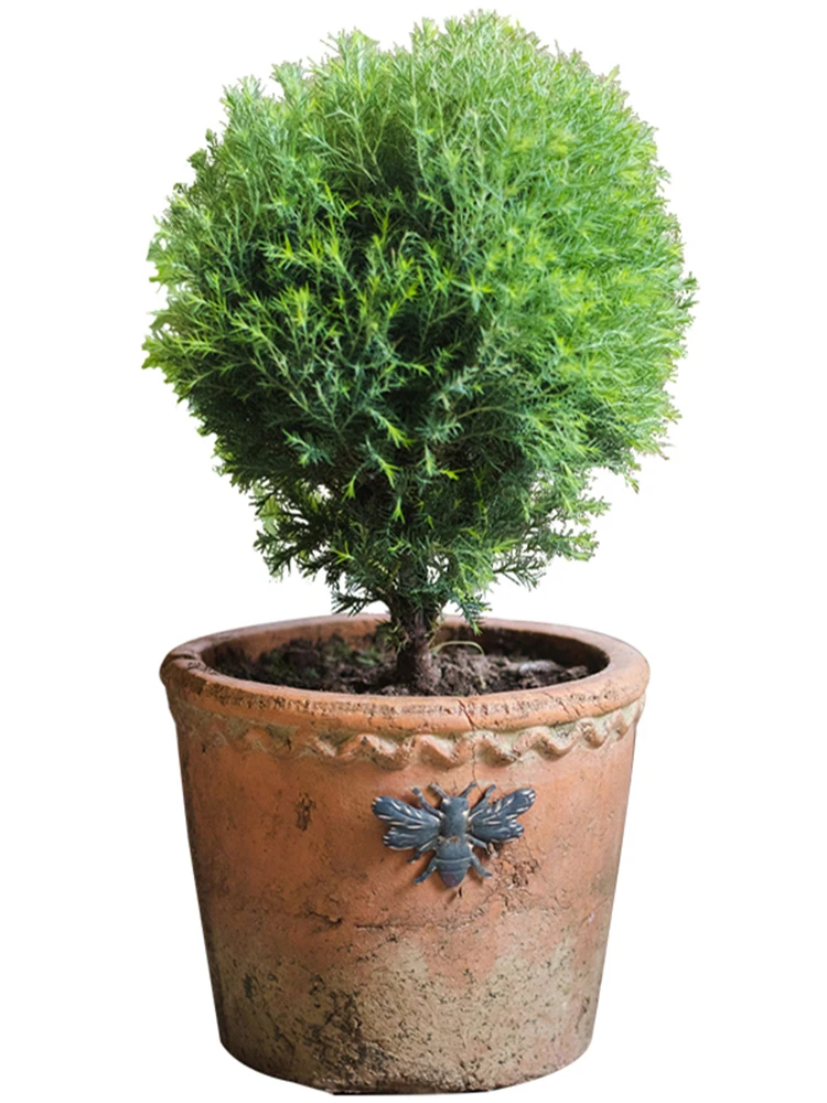 レトロなアメリカンスタイルの赤い陶器製花盆：庭やベランダで多肉植物を育てる最適な選択