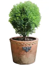 レトロなアメリカンスタイルの赤い陶器製花盆【多肉植物用・庭やガーデンに最適】