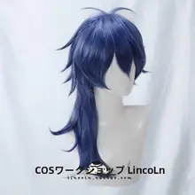 声優RAP企画 HypnosisMic DRB 有栖川帝統 コスプレ用ウィッグ【反翘】