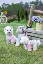 ペットウェア Tシャツ 小型犬 猫 ビションフリーゼ シュナウザー 薄手 かわいい 春 「mookipet」