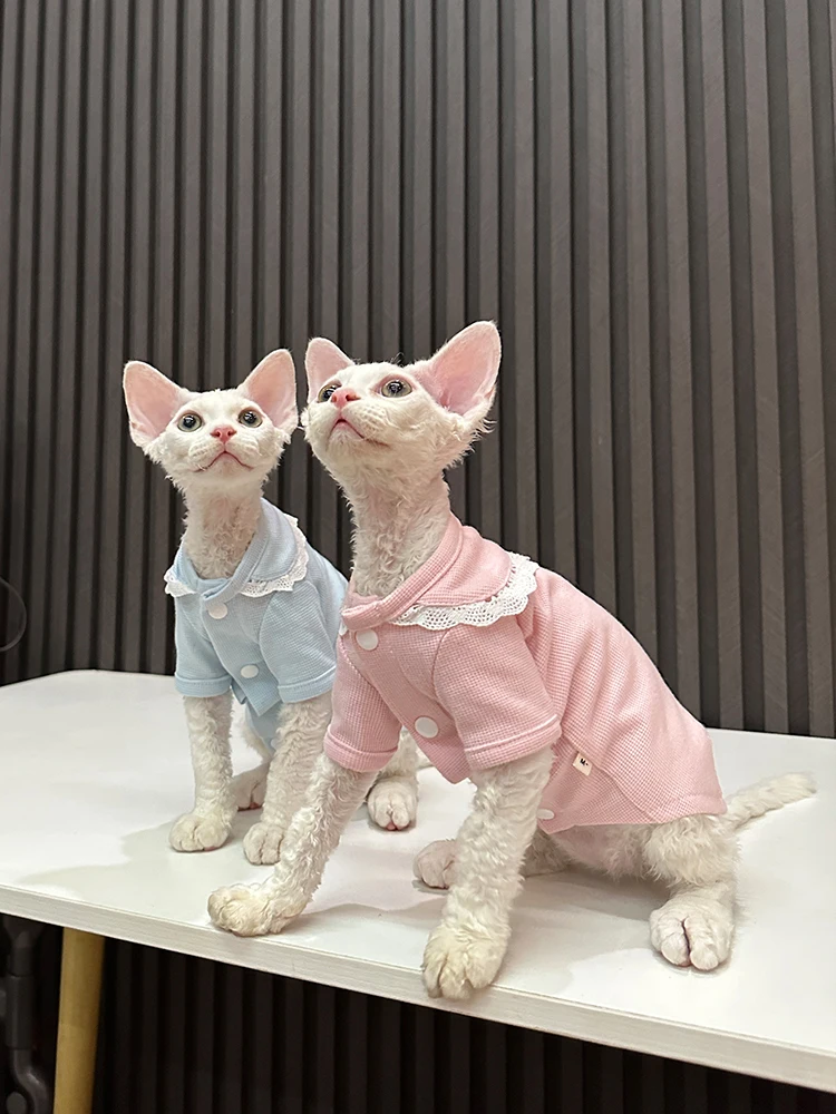 猫飼いが買ってよかったもの・悪かったもの正直に言う：スフィンクス猫用フリルTシャツの特徴とサイズガイド