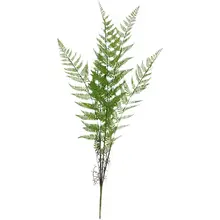 大型植物 パームリーフ 室内 レストラン 景観 装飾 グリーン植物 マーシュファーン