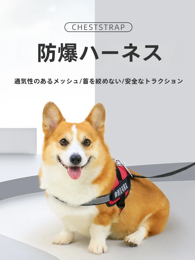 愛犬用防爆設計胸部ハーネス：中型・小型犬向けの安全かつ快適な散歩サポート