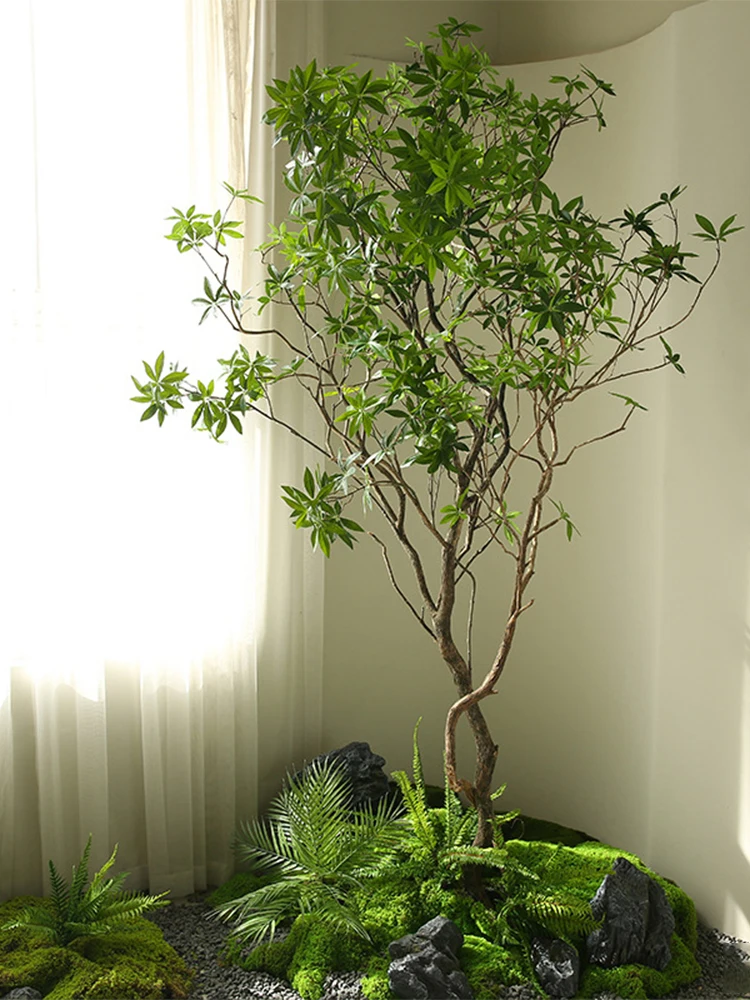 寄せ植え 室内にどんな常緑低木を設置すべき？リアルな観葉植物が静けさを生む理由