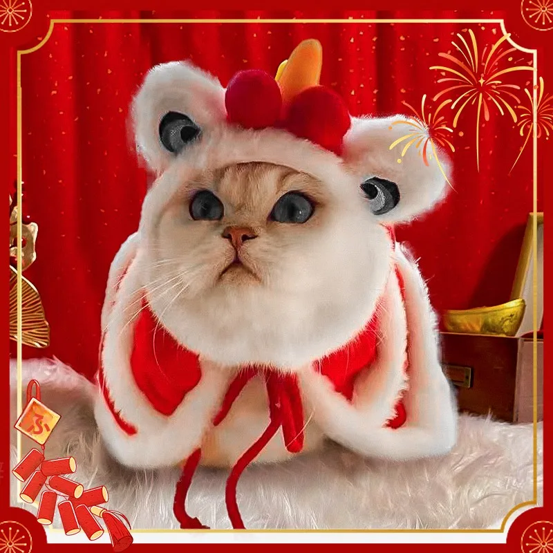 冬の寒さに負けない猫の「おしゃれ」は、この1着で決まる？
