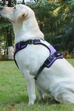 大型犬用 胸部ハーネス付きリード【散歩用・防落下設計・ドゥベルマンラブラドールゴールデン用】