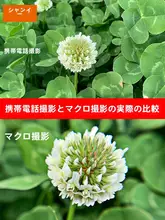 スマートフォン用広角レンズ【４K画質・プロフェッショナル撮影・Apple/Huawei対応・外付けマクロレンズ・宝石撮影用】（セットアップ対応）