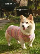犬用衣服【春夏向け・抜け毛防止・紫外線対策・汚れ防止・柴犬・コーギー・薄手ベスト】
