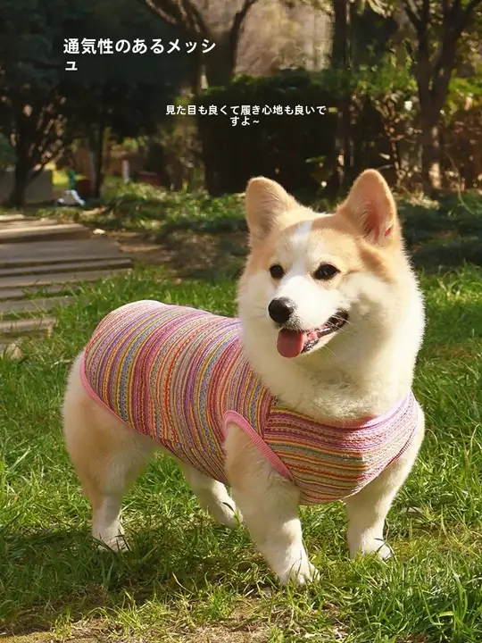 犬用衣服【春夏向け・抜け毛防止・紫外線対策・汚れ防止・柴犬・コーギー・薄手ベスト】