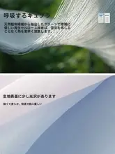 した休日にぴったり！小柄向けトップスとシャツ、ストライプカジュアルパンツ【夏用・カジュアルファッション】（セットアップ対応）