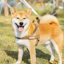 中大型犬用 ハーネス型 胸部リード【ラブラドール・ドイツ牧羊犬対応】