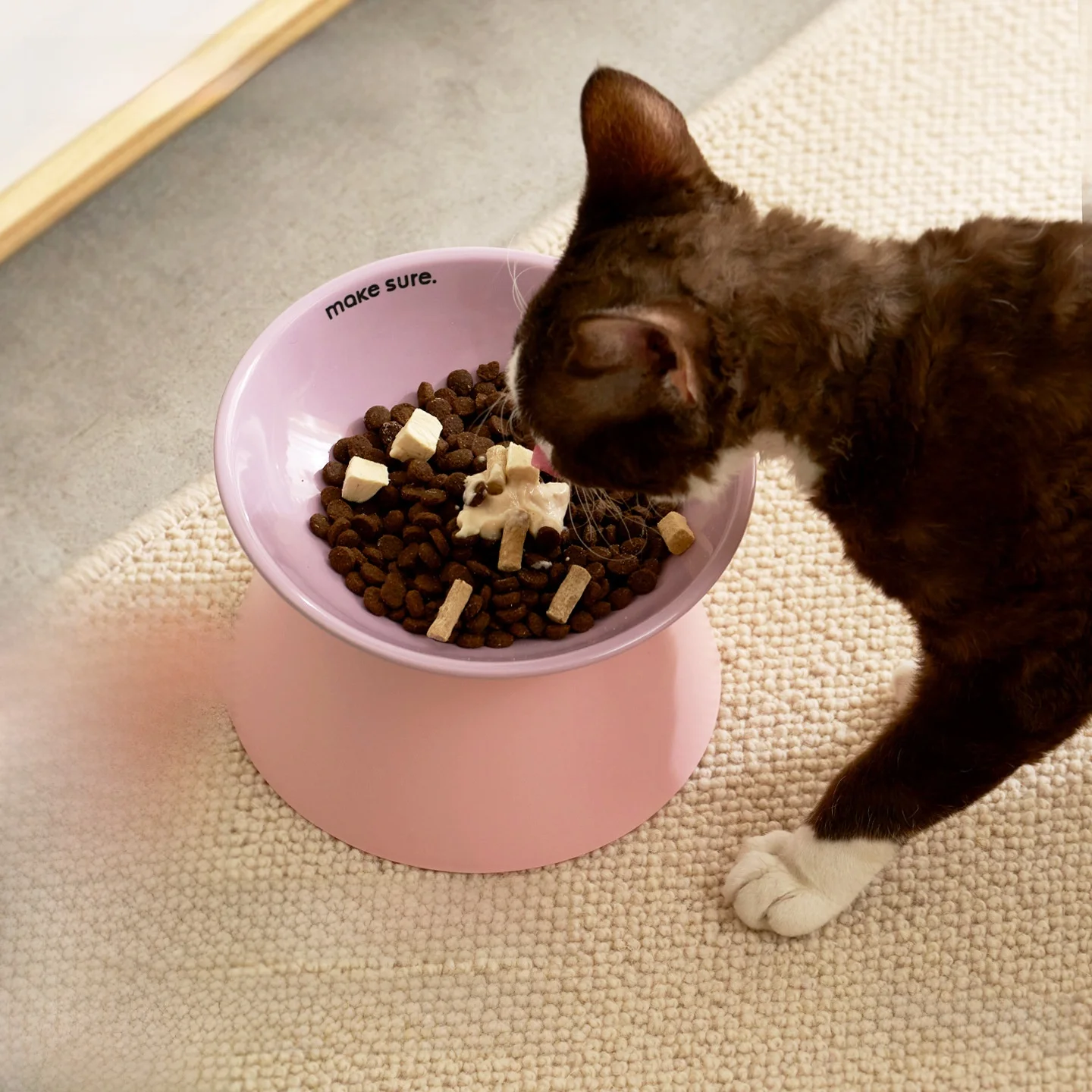 猫用陶器飲み水ボウルの飼いやすさランキング：高脚分体式でストレス少ない猫に最適