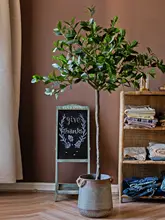 フェイクローズマリー 大型観賞植物 緑の植物 装飾品