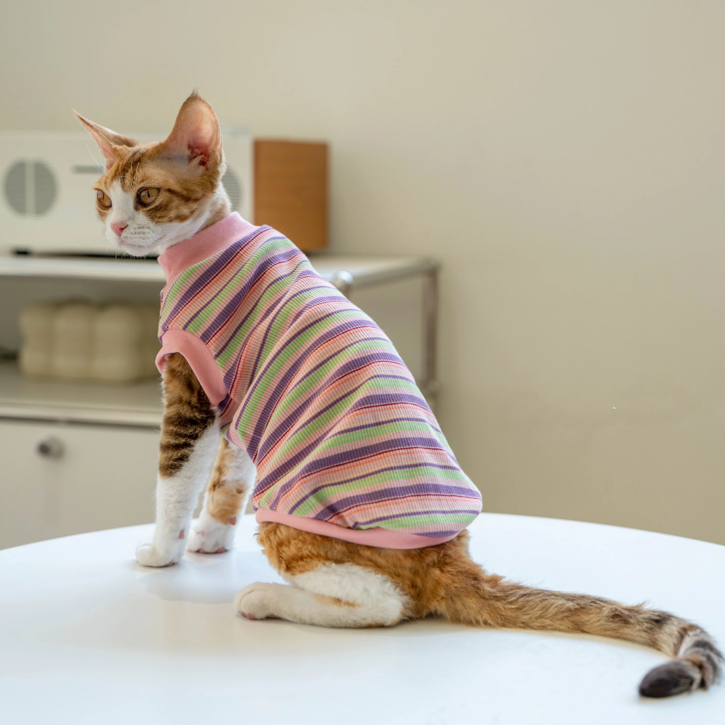 猫飼いが買ってよかったもの・悪かったもの正直に言う：冷感ストライプ猫用タンクトップの効果と特性