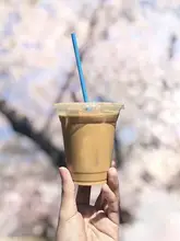 ブルーボトル風 カラーペーパーストロー【使い捨て・パーティーやコーヒー用】