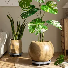 インテリアに最適！亀背竹の花鉢【大・高級感あるマグネシウム粘土製・北欧風デザイン】